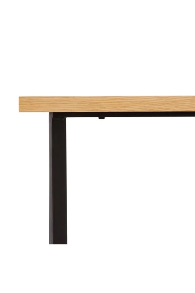 Hitit Dekorasyon Blou Siyah Metal Ahşap Orta Sehpa - Resim 3