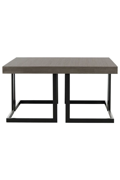 Hitit Dekorasyon Amalya Siyah Metal Ahşap Orta Sehpa - Resim 3