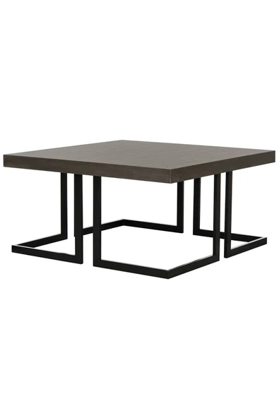 Hitit Dekorasyon Amalya Siyah Metal Ahşap Orta Sehpa ürün görseli 1