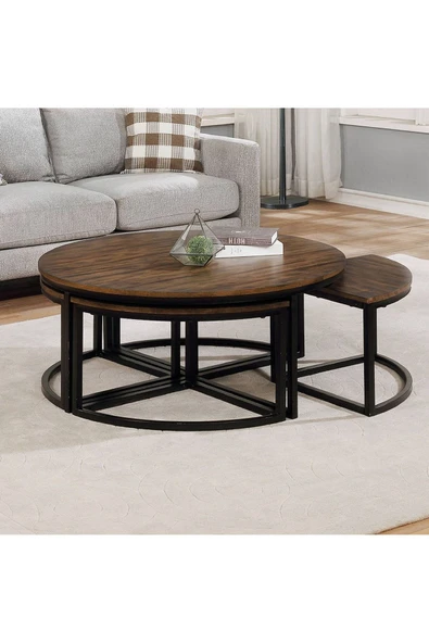 Hitit Dekorasyon Arcadia Siyah Metal Ahşap 5'li Orta Sehpa - 2