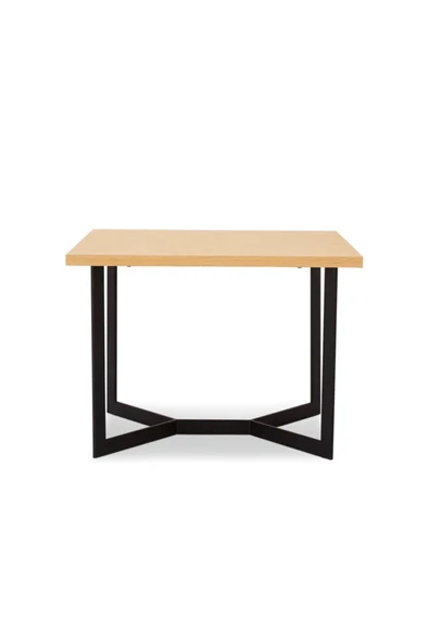 Hitit Dekorasyon Blou Siyah Metal Ahşap Orta Sehpa - Resim 2