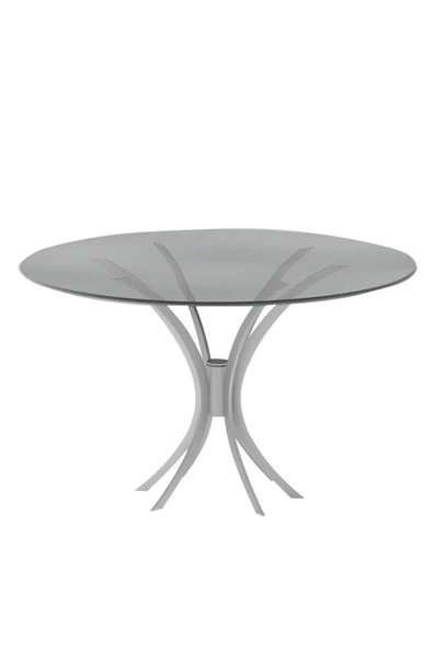 Hitit Dekorasyon Leon Gümüş Metal Yuvarlak Yemek Masası