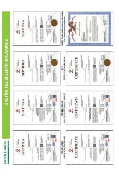 GREEN FARMA BETA GLUKAN -VİT C -ZN 60 TABLET - 3