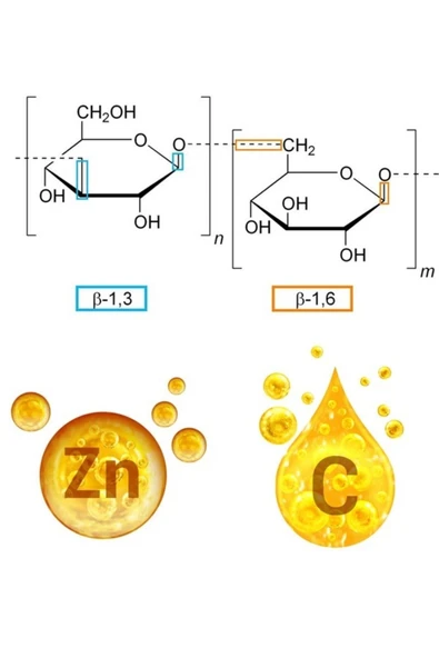 GREEN FARMA BETA GLUKAN -VİT C -ZN 60 TABLET - 2