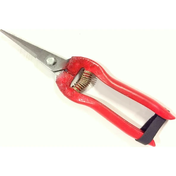 Çağlayan Üzüm Makası - Resim 2