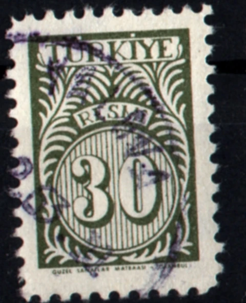 EABİ-1957 Resmi Pul 30 Kuruş (tp0281) ürün görseli
