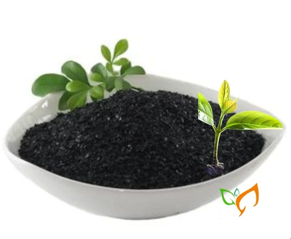 Organik Gübre Toz Hümik Fülvik Asit Potasyum Humat Gübre 500 gr - 3