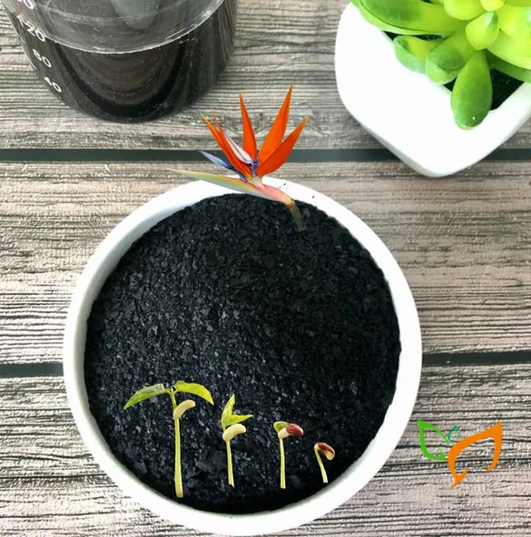 Organik Gübre Toz Hümik Fülvik Asit Potasyum Humat Gübre 500 gr - 2