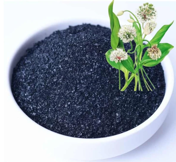 Deniz Yosunu Bitki Besini Toz Organik Gübre 500 gr - Resim 3