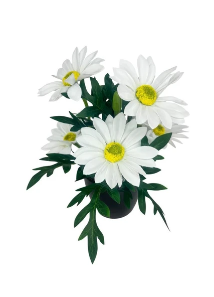 Yapay Çiçek Beyaz Margarit Papatya Siyah Saksıda Dekoratif Yapay Çiçek 30*25cm - 4