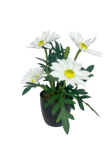 Yapay Çiçek Beyaz Margarit Papatya Siyah Saksıda Dekoratif Yapay Çiçek 30*25cm - 5