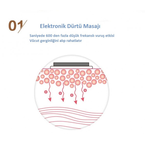 Pangao Bel ve Karın Masaj Aleti - 3