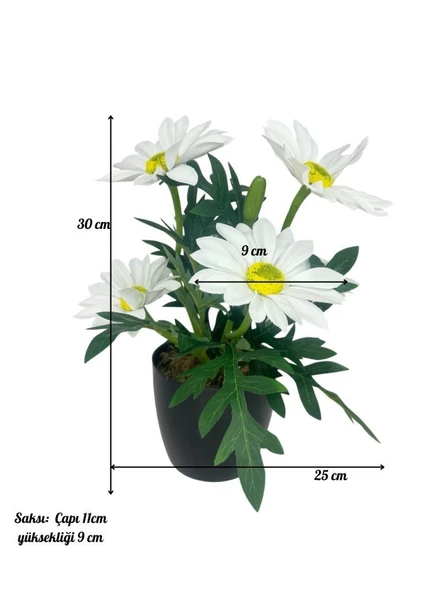 Yapay Çiçek Beyaz Margarit Papatya Siyah Saksıda Dekoratif Yapay Çiçek 30*25cm - 6