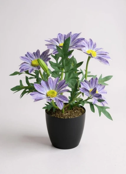 Yapay Çiçek Mor Margarit Papatya Siyah Saksıda Dekoratif Yapay Çiçek 30*25cm - Resim 2