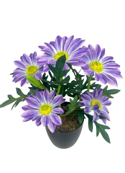 Yapay Çiçek Mor Margarit Papatya Siyah Saksıda Dekoratif Yapay Çiçek 30*25cm - Resim 3
