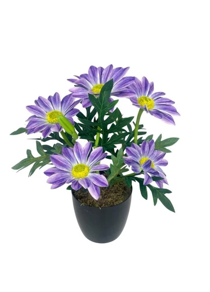 Yapay Çiçek Mor Margarit Papatya Siyah Saksıda Dekoratif Yapay Çiçek 30*25cm - Resim 6