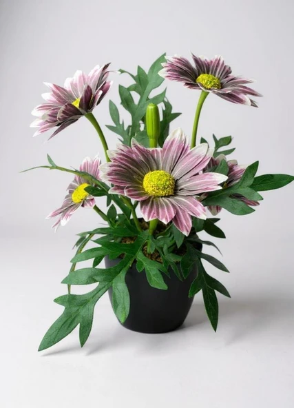 Yapay Çiçek Mürdüm Margarit Papatya Siyah Saksıda Dekoratif Yapay Çiçek 30*25cm ürün görseli