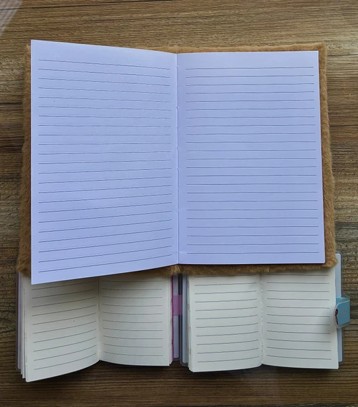 Capybara Kapibara Figürlü 80 Yaprak Çizgili Defter ve 2 Adet Capybara Kapibara Figürlü Not Defteri - 3