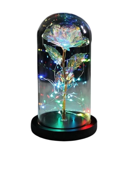 Rosepremium Fanus Içerisinde Dekoratif RGB Peri Led Işıklı Solmayan Sonsuzluk Gülü - 1