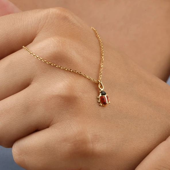 14 Ayar Altın Kaplama Minimal Uğur Böceği  Gümüş Kolye - CNE00134 ürün görseli 1