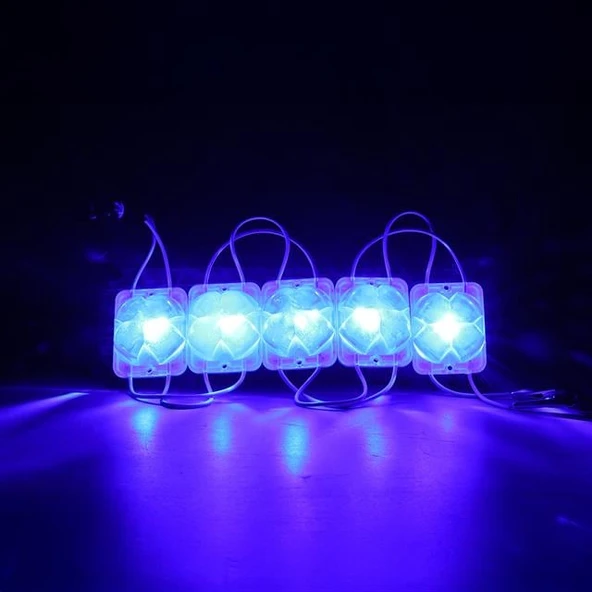 Powermaster PM-14721 12 Volt 2 Watt Mavi Sabit 4333-3030 Modül Led 43x33x28mm - 2