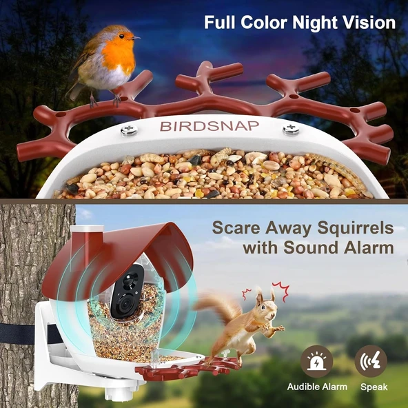 BirdSnap P33 - Güneş Enerjili 2K Video Canlı Kuş Kamerası Yemliği - Kırmızı - 5