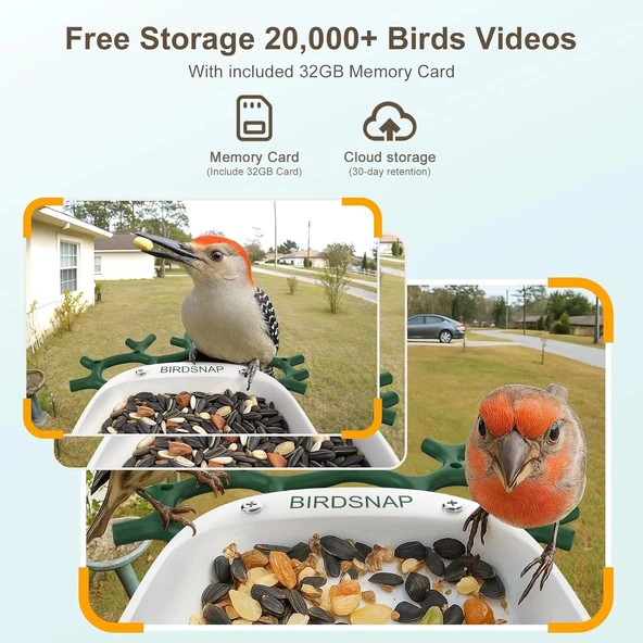 BirdSnap P33 - Güneş Enerjili 2K Video Canlı Kuş Kamerası Yemliği - Koyu Yeşil - 6