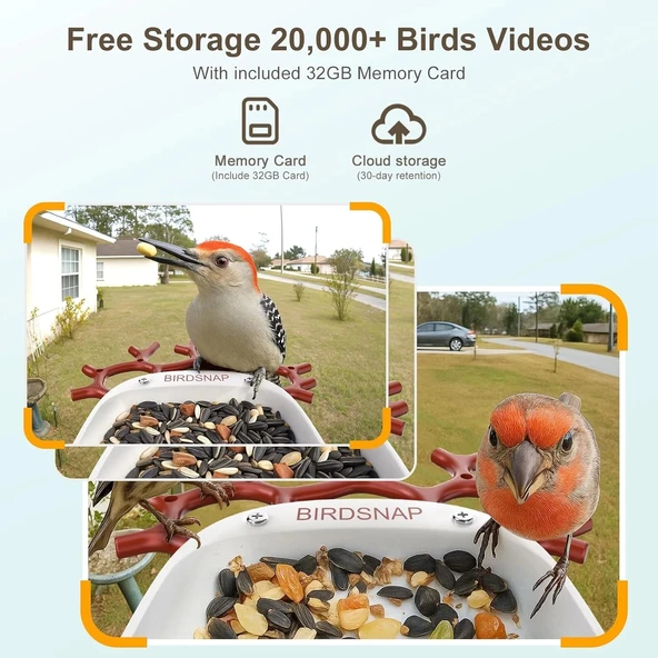 BirdSnap P33 - Güneş Enerjili 2K Video Canlı Kuş Kamerası Yemliği - Kırmızı - 6