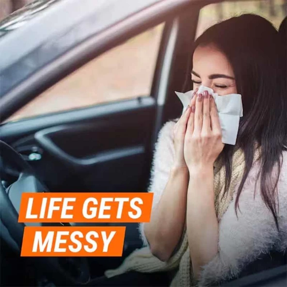 Armor All Aerosol Dezenfektan Sprey - Resim 4