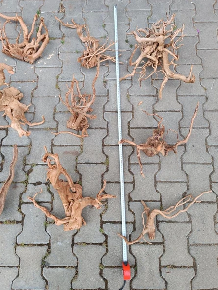 Çöl Kütüğü Bağ 35-45 cm - 3
