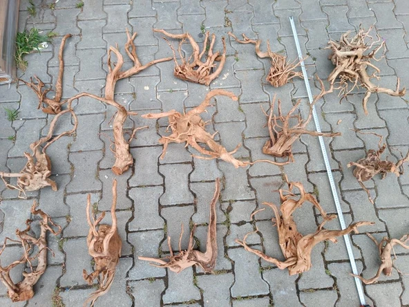 Çöl Kütüğü Bağ 35-45 cm - 4