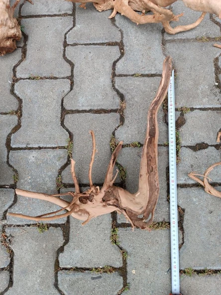 Çöl Kütüğü Bağ 35-45 cm - 5