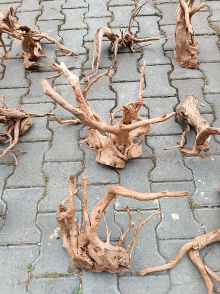Çöl Kütüğü Bağ 35-45 cm - 7