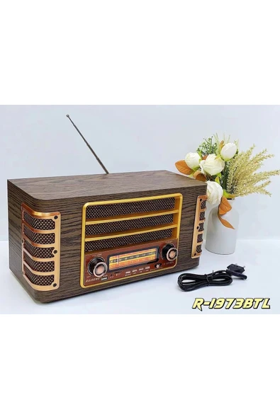 Coverzone Midi Boy Retro Bluetooth Hoparlör Radyo, USB/TF Kart Destekli, Şarjlı Pil ile Çalışan CZ-1973 - Resim 4