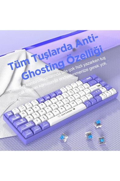 Coverzone Ajazz Ak680 65% Kablolu Hotswap Mekanik Oyun Klavyesi, 68 Tuşlu Anti-ghosting Mor Beyaz, Blue Switch - Resim 7