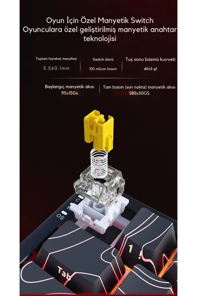 Coverzone Ajazz AK680 Max HE Kablolu Manyetik Switch Klavye-8000Hz-0.125Ms - Resim 6