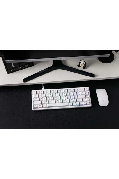 Coverzone Ajazz AK680 Max HE Kablolu Manyetik Switch Klavye-8000Hz-0.125Ms - Resim 2