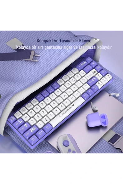 Coverzone Ajazz Ak680 65% Kablolu Hotswap Mekanik Oyun Klavyesi, 68 Tuşlu Anti-ghosting Mor Beyaz, Blue Switch - Resim 3