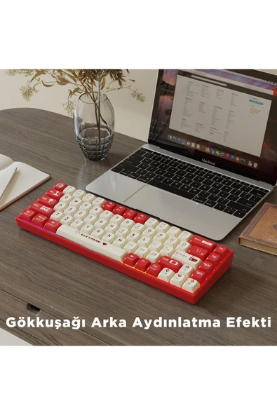 Coverzone Ajazz Ak680 65% Kablolu Hotswap Mekanik Klavye, 68 Tuşlu Anti-ghosting Kırmızı Beyaz, Blue Switch - Resim 6