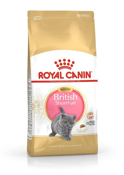 Royal Canin British Shorthair Açık Yetişkin Kedi Maması ürün görseli