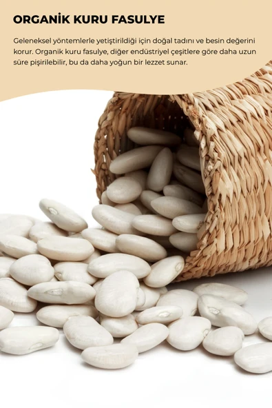 ÇALI KURU FASULYE 500 GR - 3