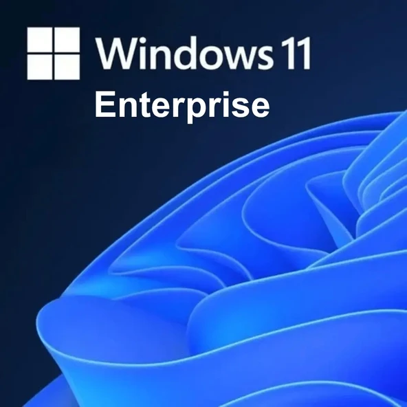 Windows 11 Enterprise Lisans Key - 2