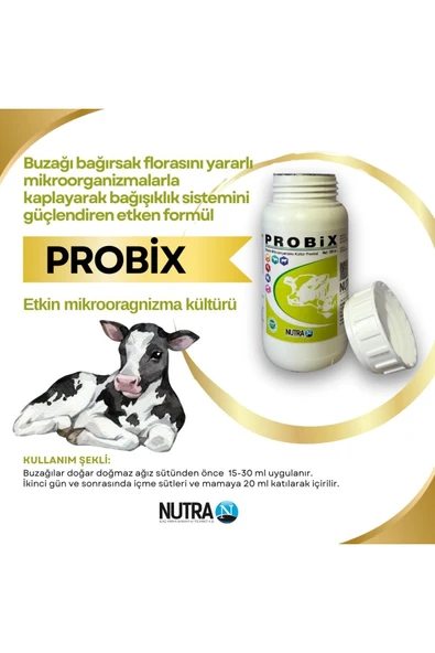 NUTRA Probix 16 Çeşit Probiyotikli Premix 300 Ml Kanatlı Kuzu Buzağı At Koyun Inek Tavuk - 5