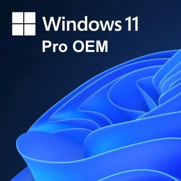 Windows 11 Pro OEM Lisans Key - 2