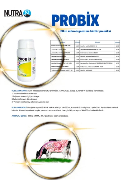 NUTRA Probix 16 Çeşit Probiyotikli Premix 300 Ml Kanatlı Kuzu Buzağı At Koyun Inek Tavuk - 3