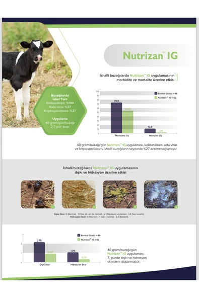 Nutrizan IG rota corana önleyici koruyucu kuzu buzağı 5 kg - 3