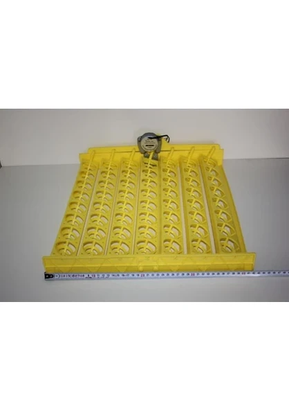 Kulucka Makinesi 56 Lı Gelişim Viyolu 2.5,3 Rpm Motor 220 V ürün görseli