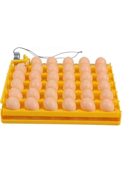 35 Li Gelişim Viyolu 1/240 Rpm Motor 220 V ürün görseli