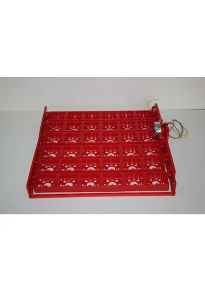 36 Lı Gelişim Viyolu 1/240 Rpm Motor 220 V - 1