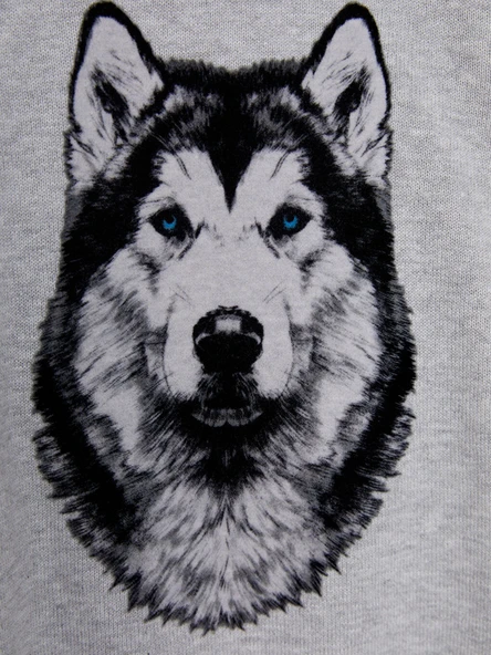 LCW Kids Bisiklet Yaka Desenli Uzun Kollu Erkek Triko Kazak - 3